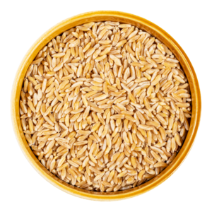 Wheat