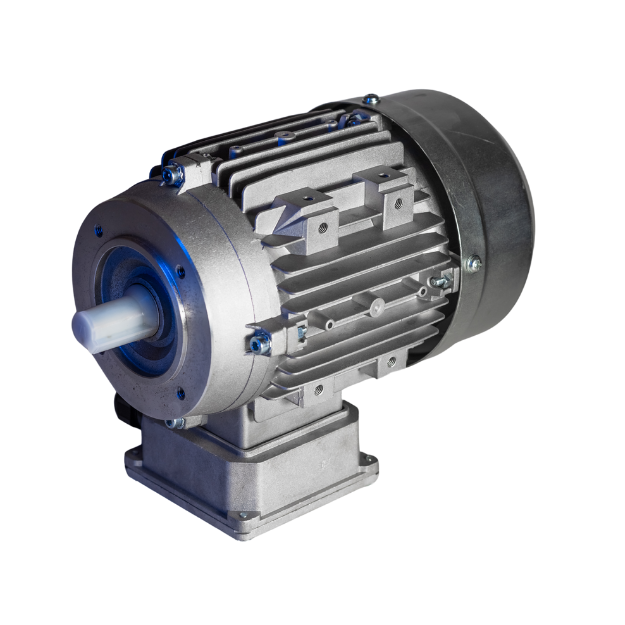 Heavy duty motor